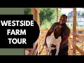 Westside Farm Tour