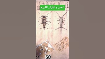 القرآن الكريم #يارب #التغطيه #اكسبلور #تيك_توك #duet #المراه #دويتو #الوكره #اعتني #الجبار