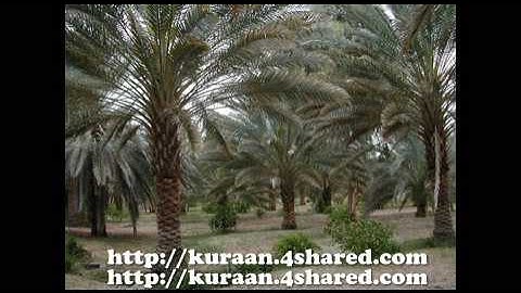 سورة ق تسجيلات رائعة للشيخ سيد سعيد وكبار القراء