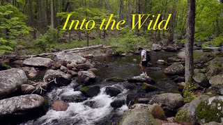 We Found the Perfect Spot to Swim in the Wild Jungle.