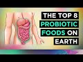 The BEST 8 PROBIOTIC Foods In The WORLD