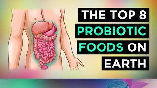 The BEST 8 PROBIOTIC Foods In The WORLD