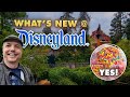 NEW Audio on Mark Twain + Is this the best beignet EVER? | What&#39;s new at Disneyland 06-12-2023