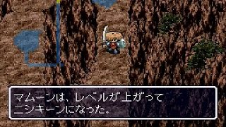 【SFC】 風来のシレン テーブルマウンテン素潜りクリア 1/2