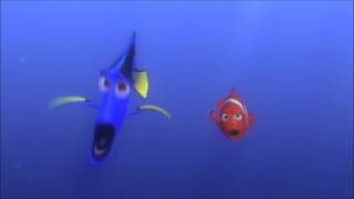 90 second practice video