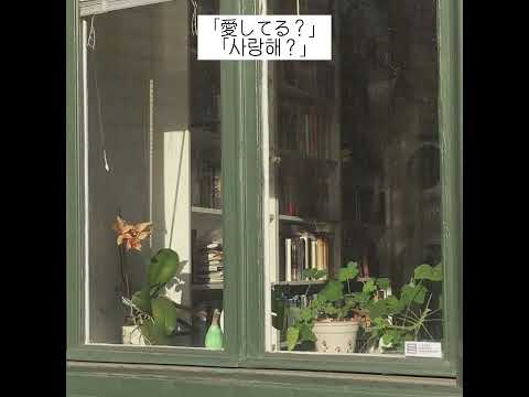 나의 도화선 🌿 Mrs. green apple (미세스 그린애플) - フロリジナル (플로리지널)
