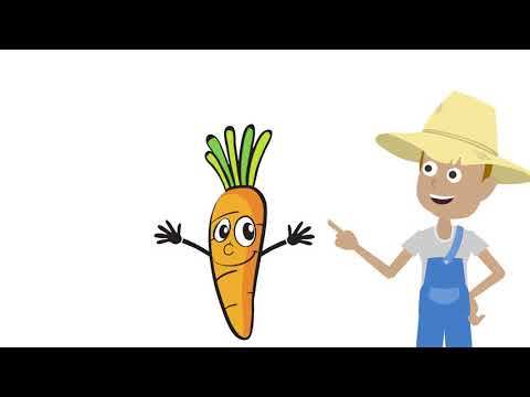 Hydroponic practices 6. Hydroponic carrot