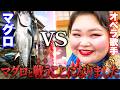 【謎イベント】ソプラノ歌手のディナーショー前日は意外とのんびり？田舎のんびりライフVlog【塩竈のマグロvsしおたん】