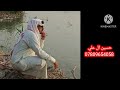 حسين ال علي حيو الغوالي حسين ال علي حيو الغوالي