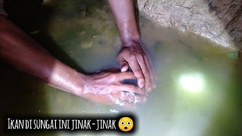 TANGAN DEWA .... !!! MENANGKAP IKAN DENGAN TANGAN KOSONG || Ikan nya jinak #menjala - Iyan XyZ