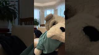 Freddie Friday Story Funtime Episode 92: The Brighton Beach Bulldog