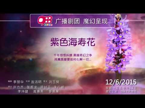 988广播剧 - 紫色海寿花
