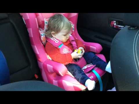 Review of the Cosatto Hubbub Twee Twoo Car Seat