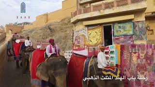 قلعه امبر جیپور/ Amer Fort