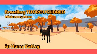 I bred Thoroughbred with every horse in Horse Valley