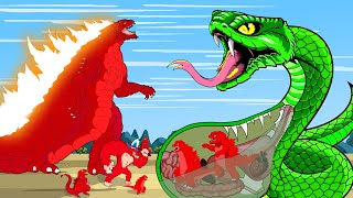 GODZILLA & KONG vs GIANT PYTHON RADIATION: Who Is The King Of Monster?| FUNNY | Godzilla Cartoons