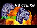 Рождение на стыке знаков