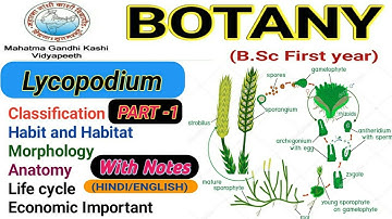 Lycopodium/Morphology/Anatomy/life cycle of Lycopodium || PART-1