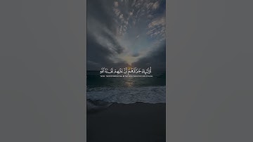 Surah Al-Imran 86-89 سورة آل عمران #quranib #quran