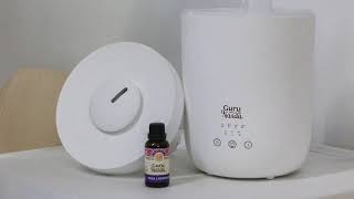 Best Humidifier & Diffuser for Hydrated Looking Skin