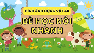 Dạy Bé Tập Nói Tiếng Việt | Nhận Biết Các Con Vật Quen Thuộc Qua Hình Ảnh 4K Sống Động