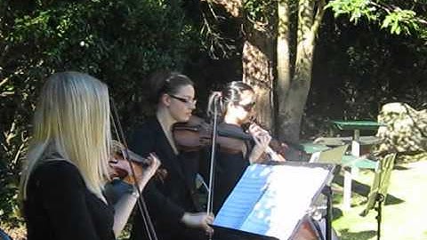 Crossing Strings: Elegant, Timeless Music