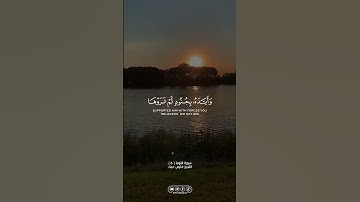سورة التوبة | #الله #allah #القران_الكريم #القرآن_الكريم #foryou #explore #اكسبلور #فارس_عباد #fyp