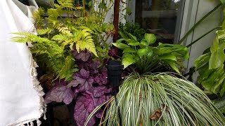 Planting up a Massive Container For Fall and Winter Appeal