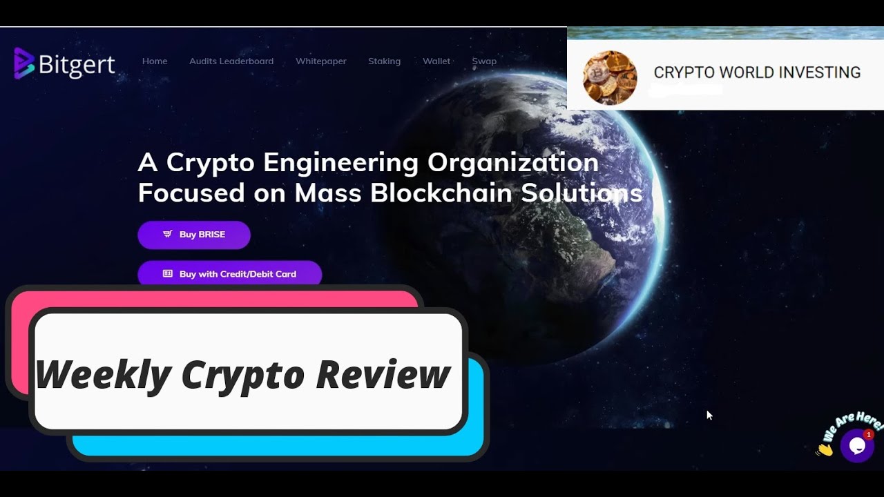 Bitgert BRISE Weekly Crypto Review Jan 7 2022