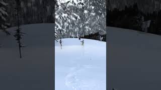 Горнолыжники  - животные / Skiers and animals. #shorts