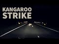 Kangaroo strike at 100kph 60mph