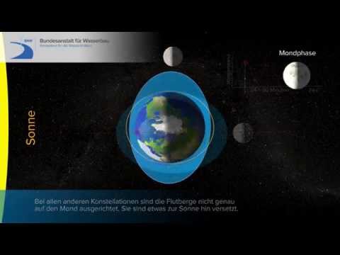 Video: Welche Mondphase tritt während einer Nipptide auf?