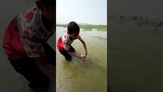 Village Boy Amazing Net Fishing Video boyfishing fishing netfishing
