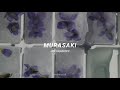 murasaki; jin akanishi (sub. español)