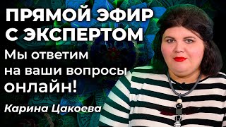 Разговор с экспертом: Карина Цакоева отвечает на вопросы. Запись от 04.04.2021