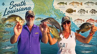 12 Fish Species in ONE Spot?! Freshwater Meets Saltwater!