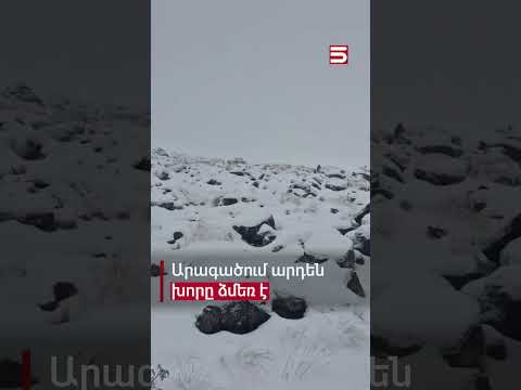 Արագածում արդեն խորը ձմեռ է #ձյուն #5tv