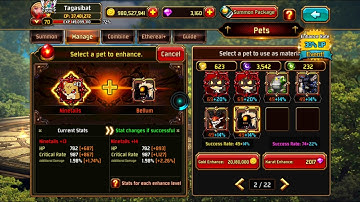 Kritika The White Knights - How To Get New Ethereal Pet Ninetails