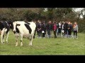 Découverte des métiers verts: l&#39;élevage laitier avec robot de traite