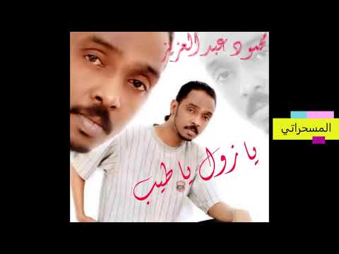 محمود عبد العزيز السنين