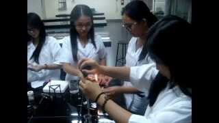 Ethical Manners in the Laboratory
