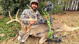 Venado Gigante En La Corrida Tiro A 20 Yardas