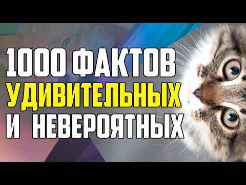 1000 УДИВИТЕЛЬНЫХ И НЕВЕРОЯТНЫХ ФАКТОВ