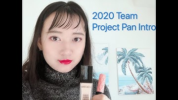 #teamprojectpan2020 Introduction