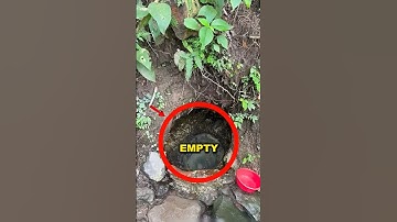 This Pit Seems To Be Empty But...