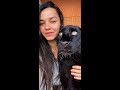🐆 Funny and cute moments from the life of Panther Luna and Rottweiler Venza💗🐕