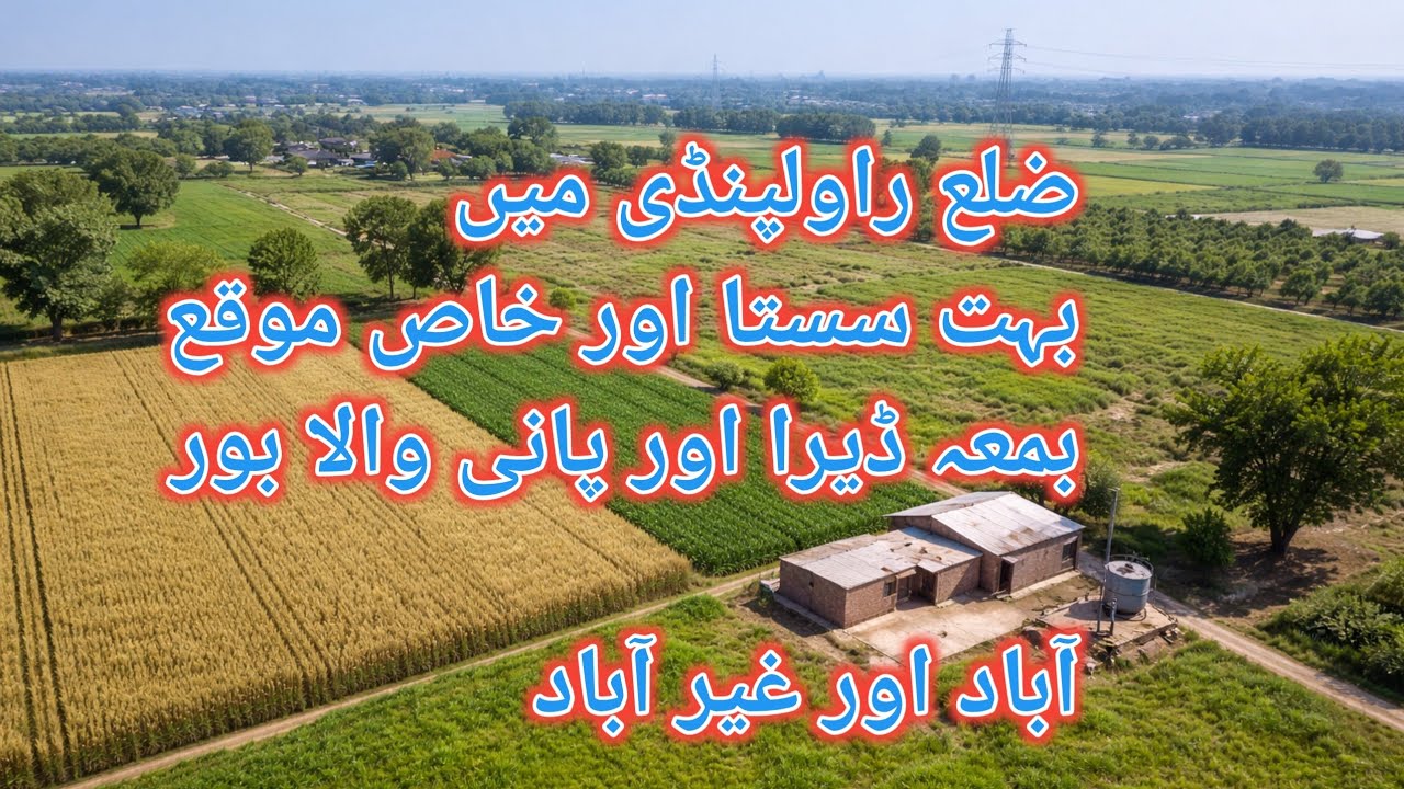 راولپنڈی میں 300 کنال سستی زرعی زمین | بیعانہ پر فوری قبضہ | بور موجود | بہترین انویسٹمنٹ