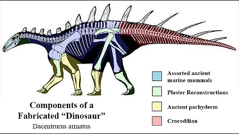 Two Vegans Argue Over Dinosaurs, Anarchism and Wee...