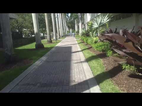 walking-around-on-the-campus-of-the-university-of-miami---coral-gables,-florida