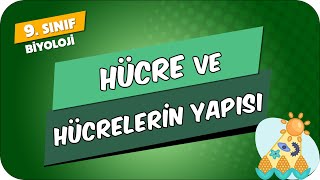 Hücre Ve Hücrelerin Yapısı 9Sınıf Biyoloji 